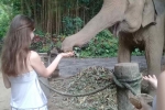 Під час прогулянки у зоопарку (Тайланд)